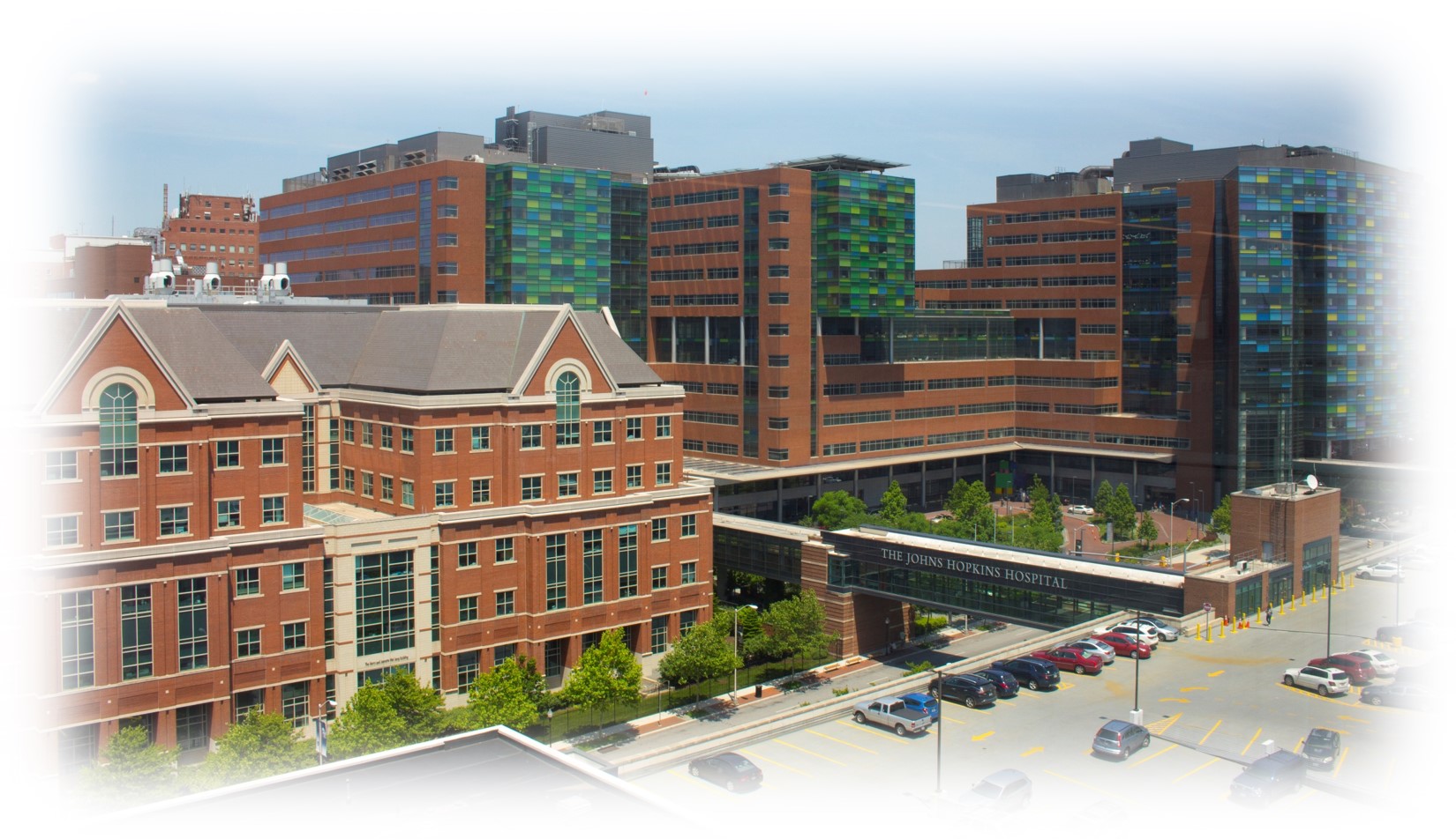 The Johns Hopkins University School of Medicine